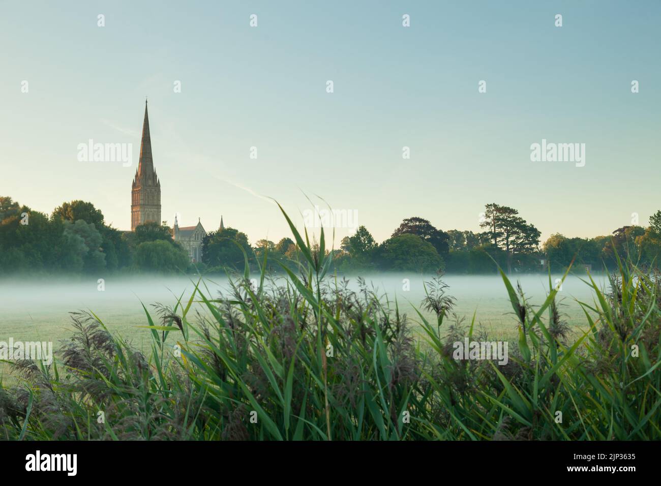 Sommersonnenaufgang in der Salisbury Cathedral, Wiltshire, England. Stockfoto