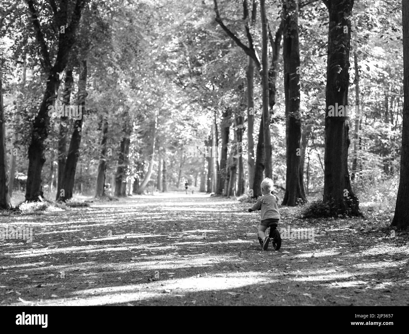 Ein Graustufenbild eines Kindes, das in einem wunderschönen Park Fahrrad fährt Stockfoto