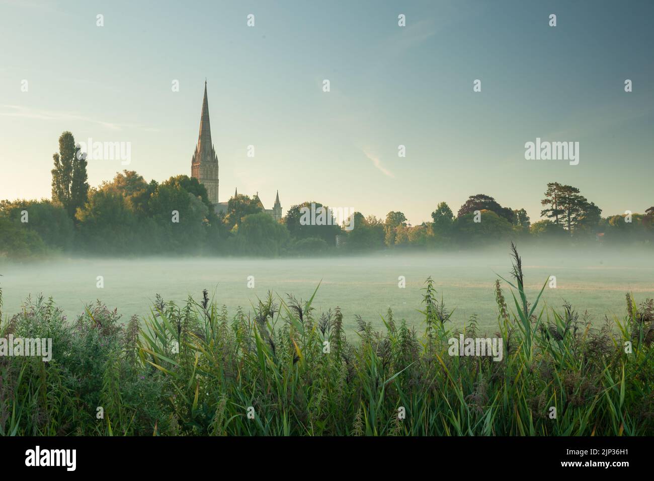 Nebeliger Sommermorgen in der Kathedrale von Salisbury, die sich über die Harnham Water Meadows erstreckt. Wiltshire, England. Stockfoto