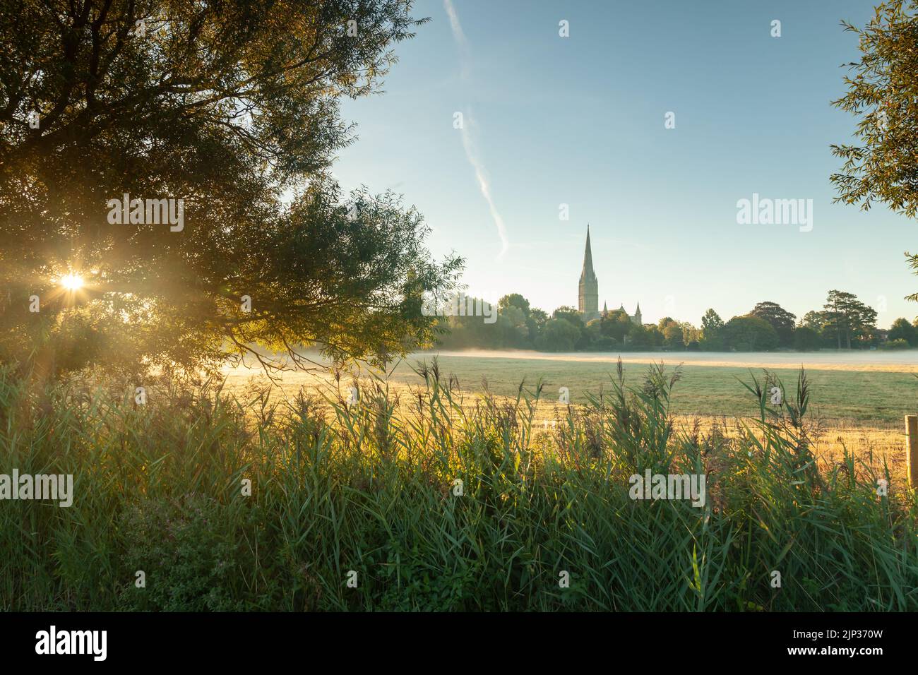 Sommeraufgang in Harnham Water Meadows, Salisbury, Wiltshire, England. Stockfoto