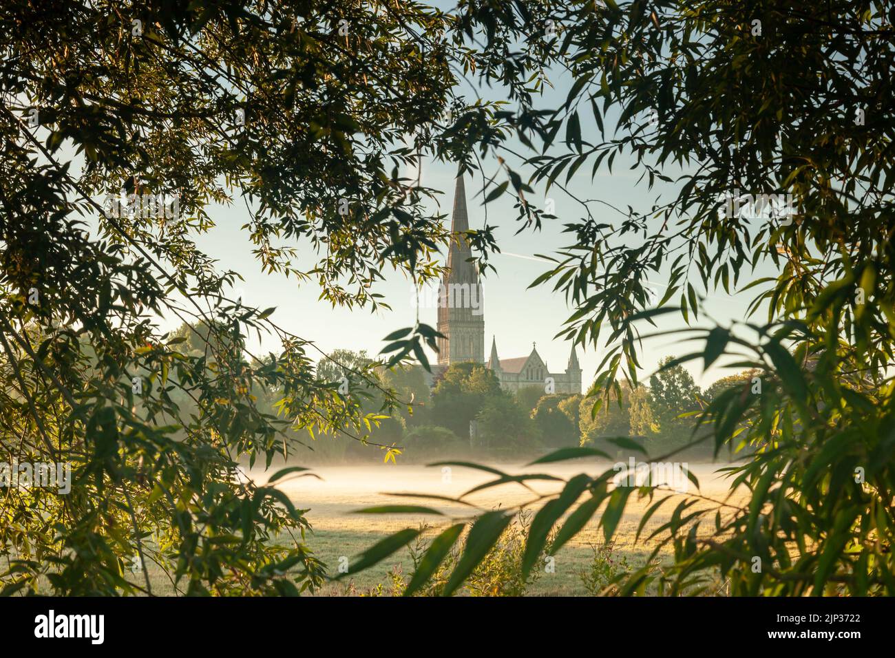 Sommermorgen in der Salisbury Cathedral, Wiltshite, England. Stockfoto