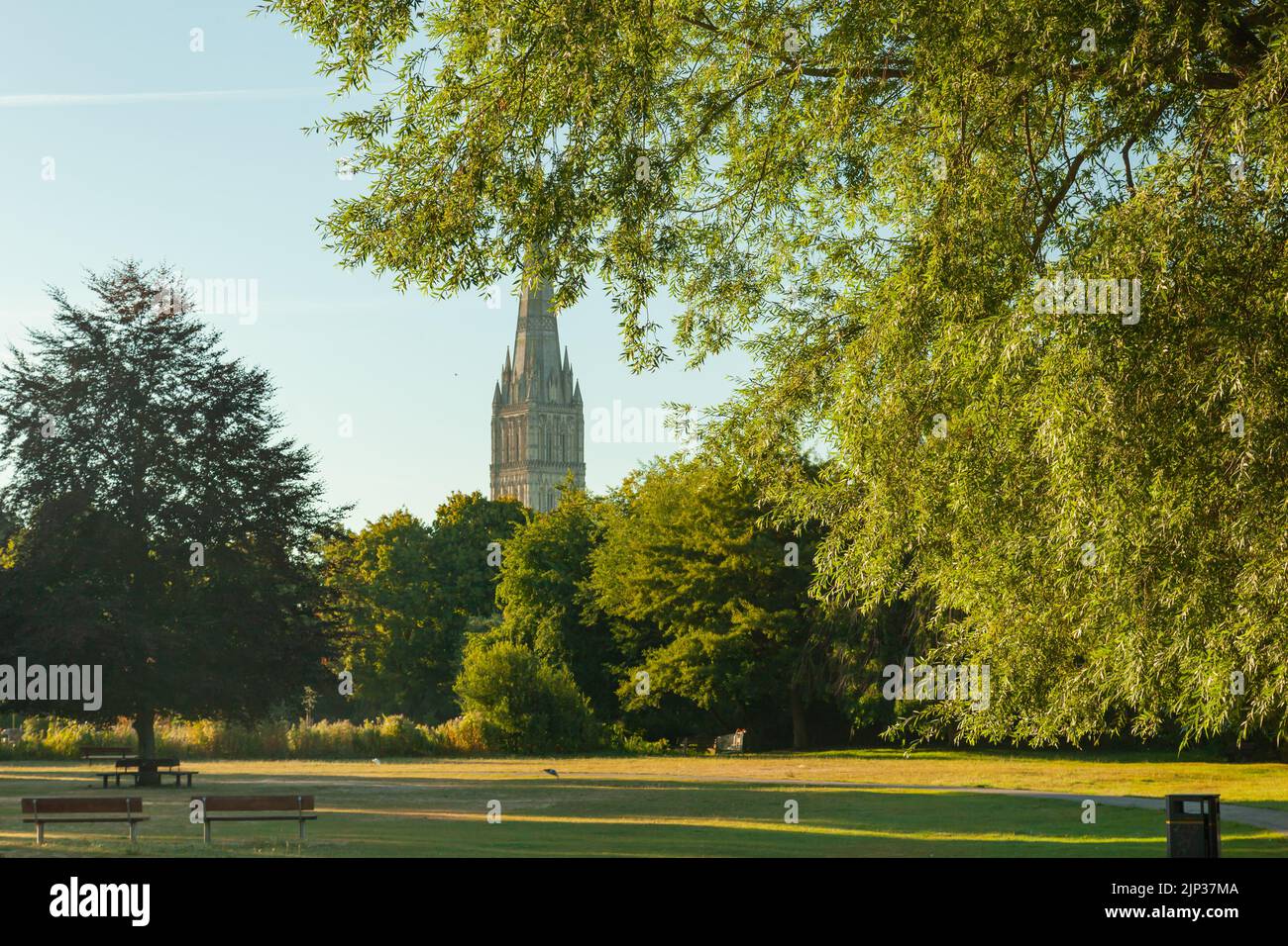 Sommermorgen in Elizabeth Gardens in Salisbury, Wiltshire, England. Stockfoto