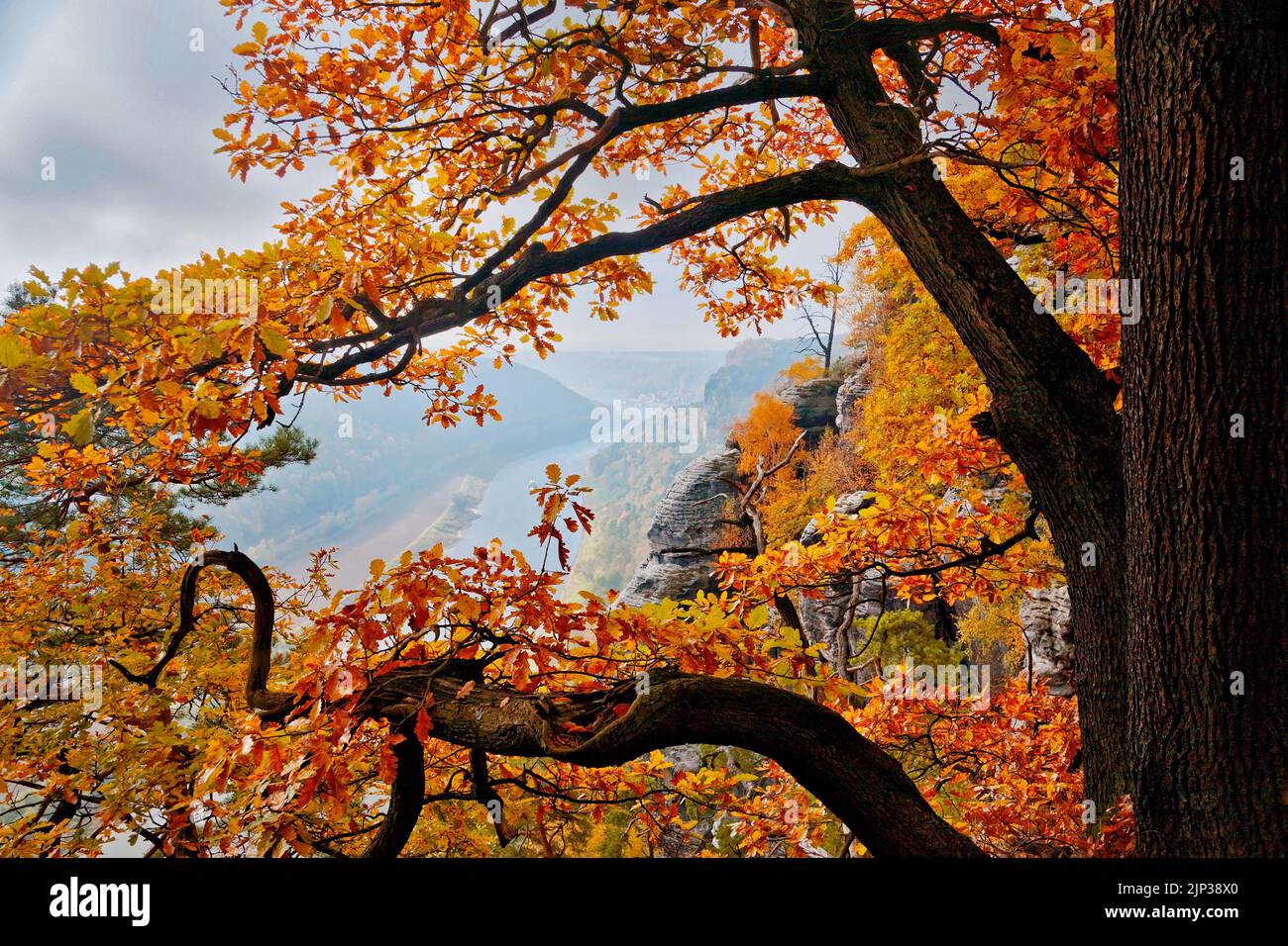 Über der Elbe im Herbst im Elbsandsteingebirge, Nationalpark Sächsische Schweiz, Sachsen, Deutschland Stockfoto