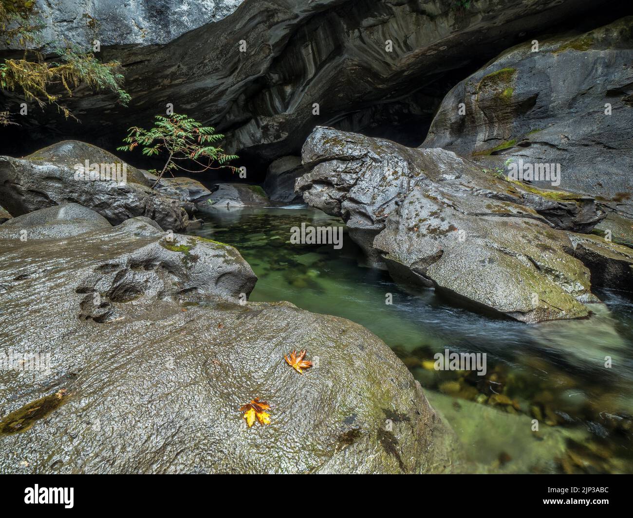 Eine Nahaufnahme des Wassers, das durch karstige Creek-Felsen in den Little Huson Caves, Vancouver Island, Kanada, fließt Stockfoto