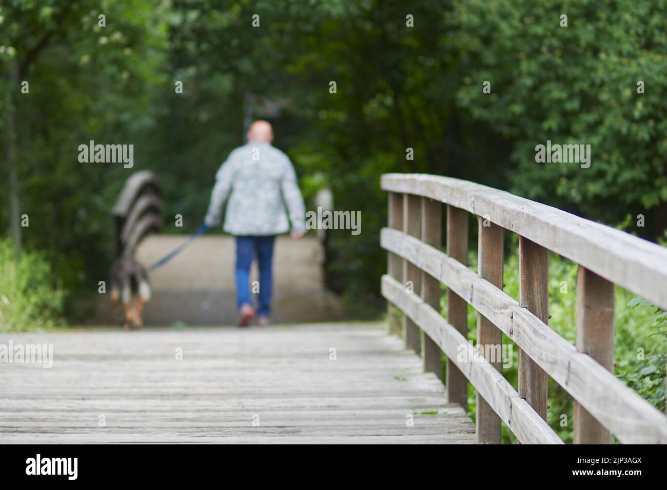 Eine Brücke in einem Park mit einem Mann, der mit seinem Hund im unscharfen Hintergrund läuft Stockfoto