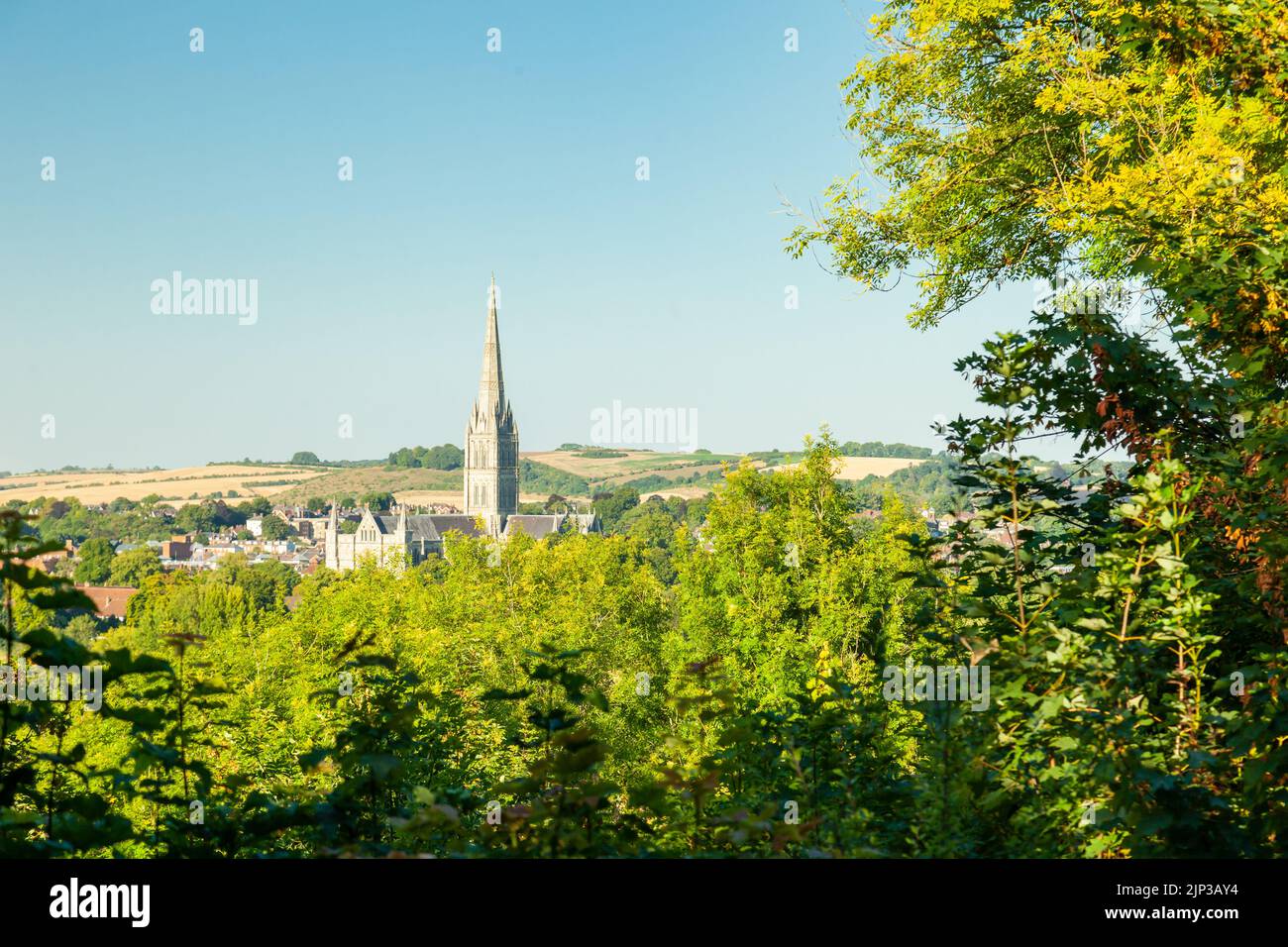 Die Kathedrale von Salisbury erhebt sich an einem Sommernachmittag über die Landschaft von Wiltshire. Stockfoto