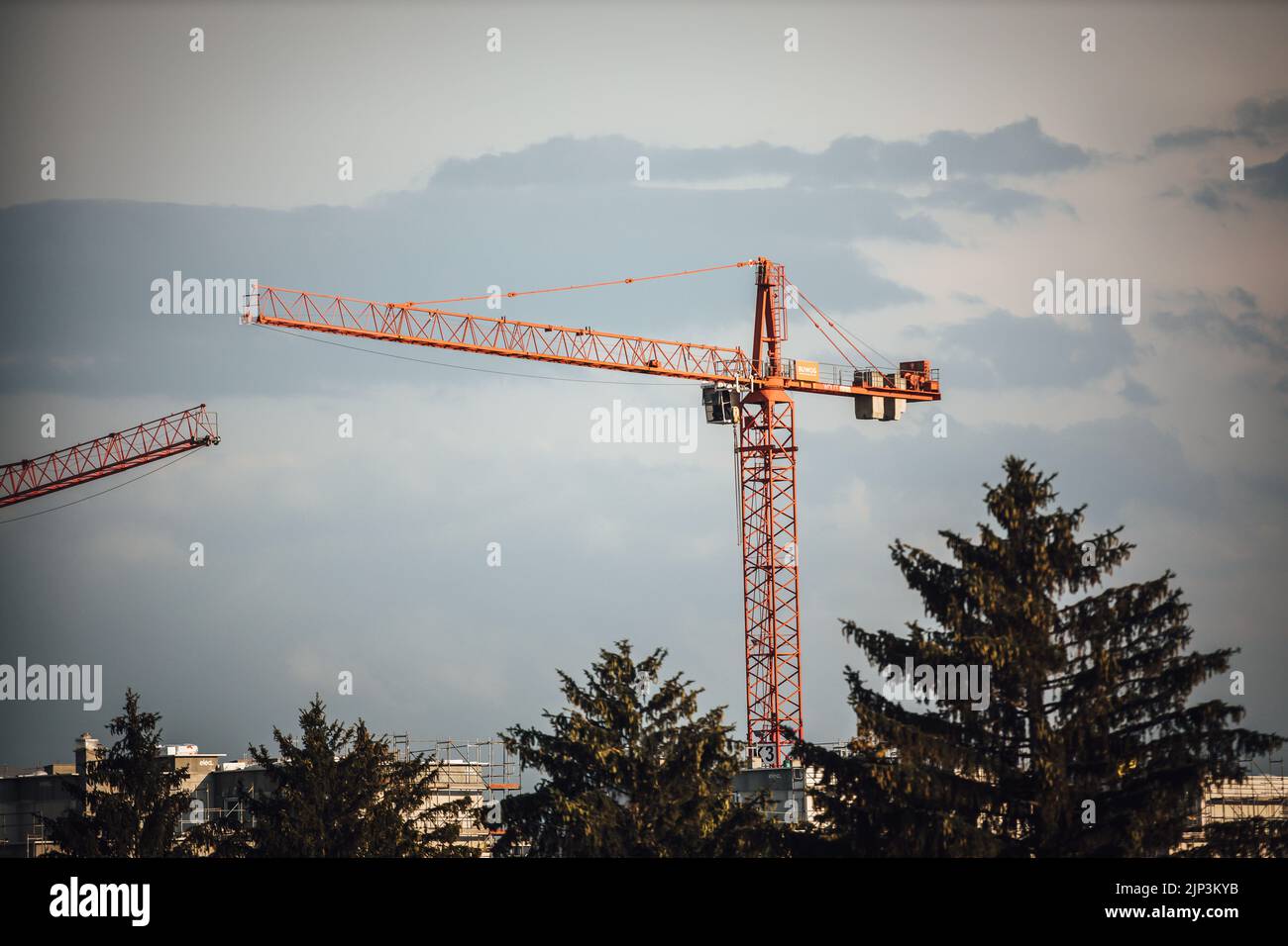 Ein Baustellenkran am Himmel mit Bäumen, die ihn bei Sonnenuntergang  umgeben Stockfotografie - Alamy