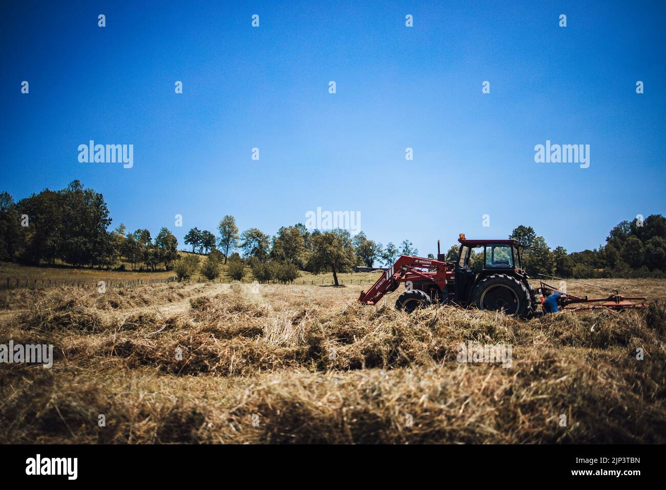 Ein großer roter Traktor auf einem ländlichen Feld mit trockenem Gras Stockfoto