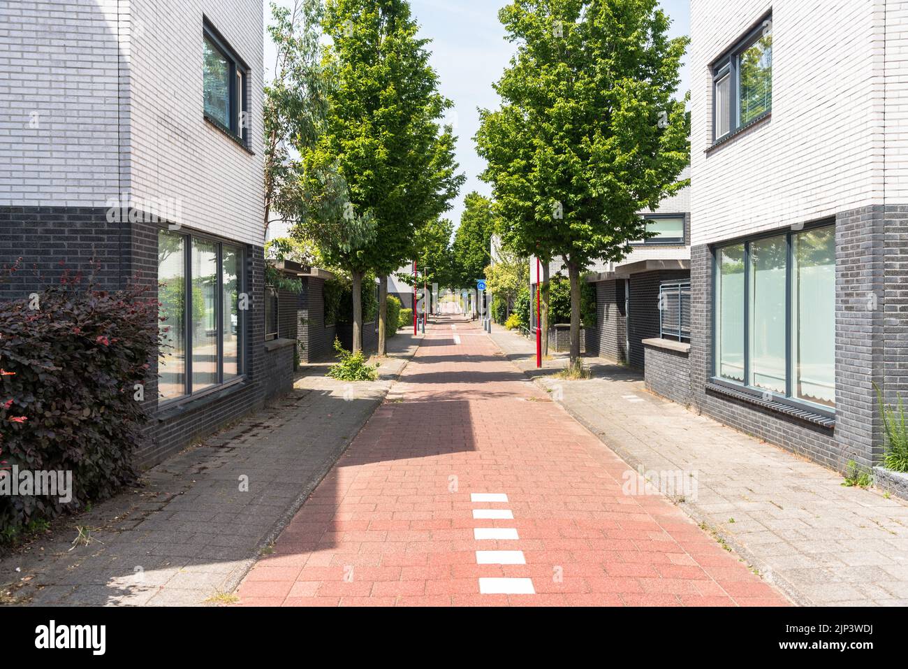 An einem sonnigen Sommertag führt eine verlassene Fahrradstraße zwischen modernen Backsteinhäusern Stockfoto