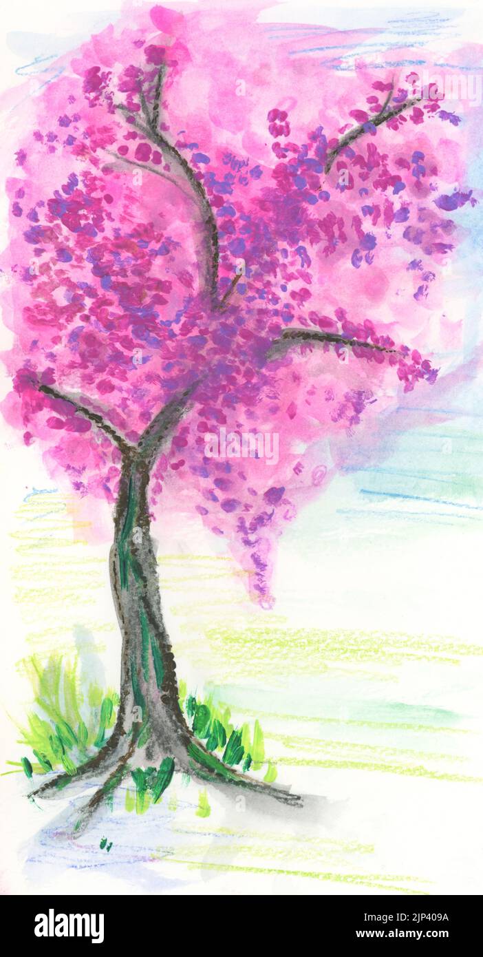 Ein rosa blühender Obstbaum. Aquarell auf Papier Stockfoto