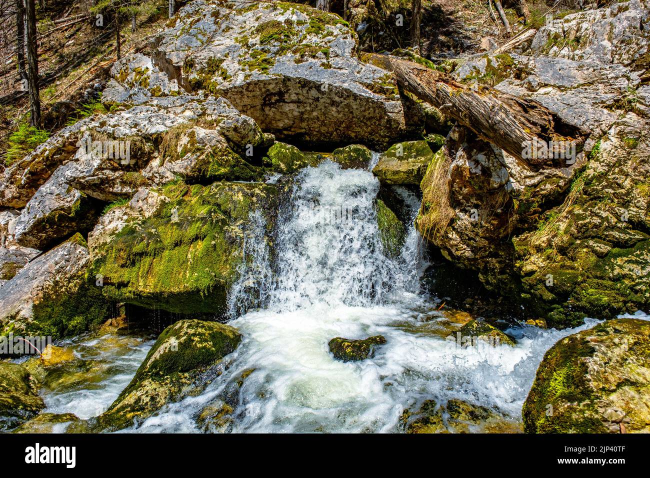 Frisches Wasser fließt über Felsen und Steine auf einem Flussbett, in einer wunderschönen Naturlandschaft Stockfoto