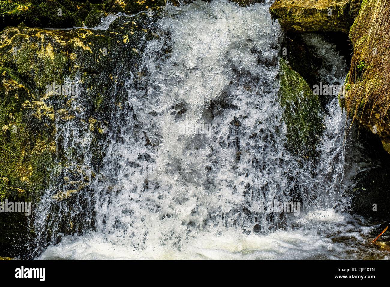 Frisches Wasser fließt über Felsen und Steine auf einem Flussbett, in einer wunderschönen Naturlandschaft Stockfoto