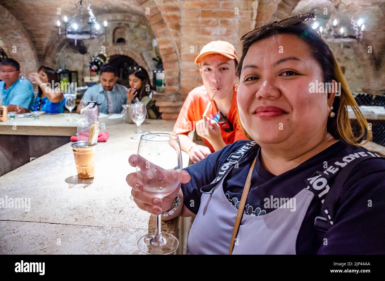 Porträt einer Dame mit einer Weinglasverkostung in einem Weingut im Napa Valley in Kalifornien, USA Stockfoto