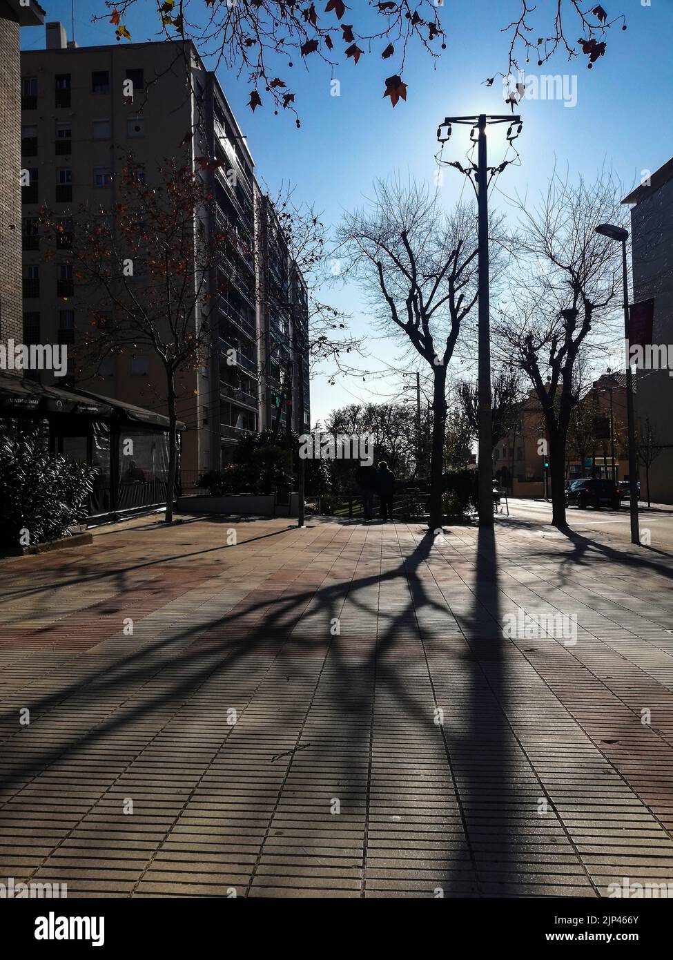 Straßenlaterne und Bäume Schatten auf der Straße, El Masnou Stockfoto