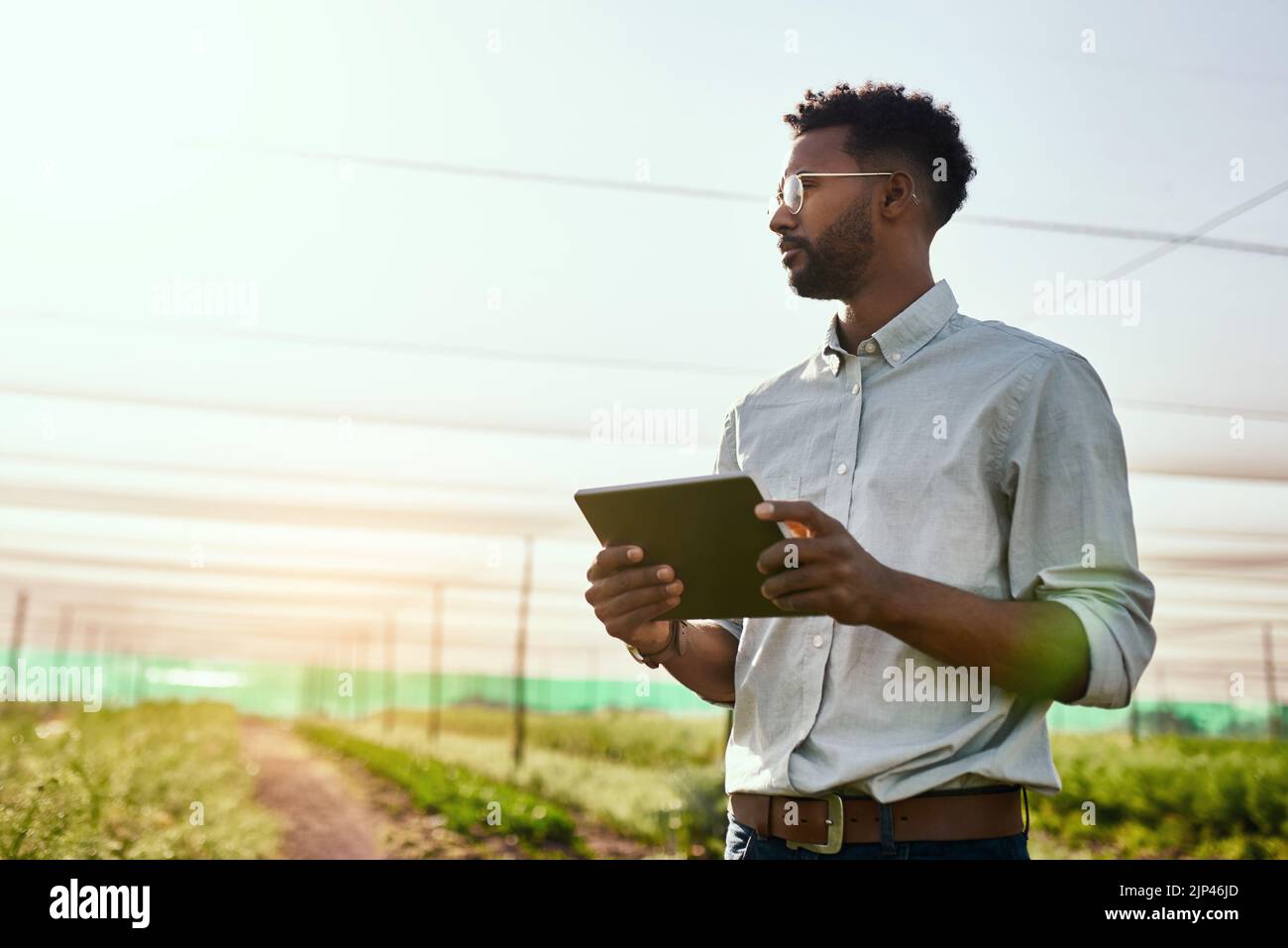 Denkender Landwirt mit digitalem Tablet, das nachhaltiges Wachstum der Landwirtschaft überprüft, Fortschritte erzielt oder die Exportordnung der Landwirtschaft auf Technologie vorbereitet. Ernster Mann, Gärtner oder Stockfoto