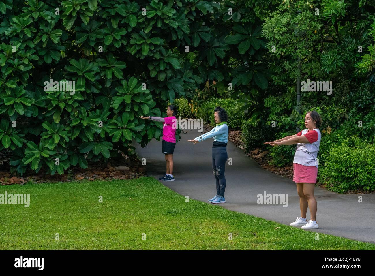 Drei Damen machen gemeinsam ihre Morgenübungen im Botanischen Garten in Singapur. Speicherplatz Kopieren. Stockfoto
