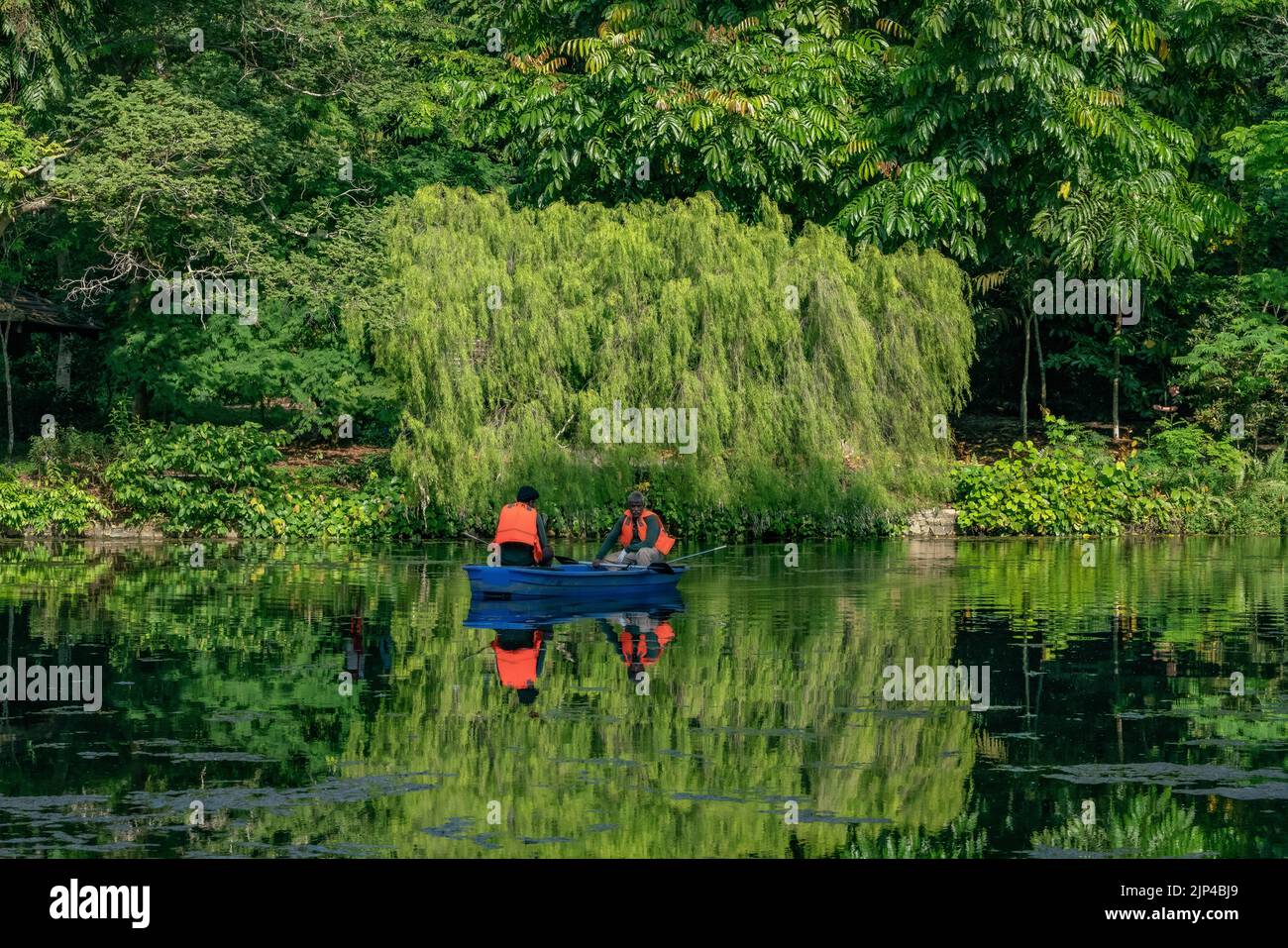 Gärtner putzen die Seen im Botanischen Garten in Singapur. Horizontale Aufnahme Stockfoto