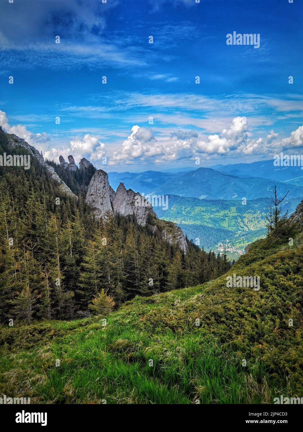 Eine vertikale Aufnahme der unberührten Landschaft bewaldeter Hügel Stockfoto