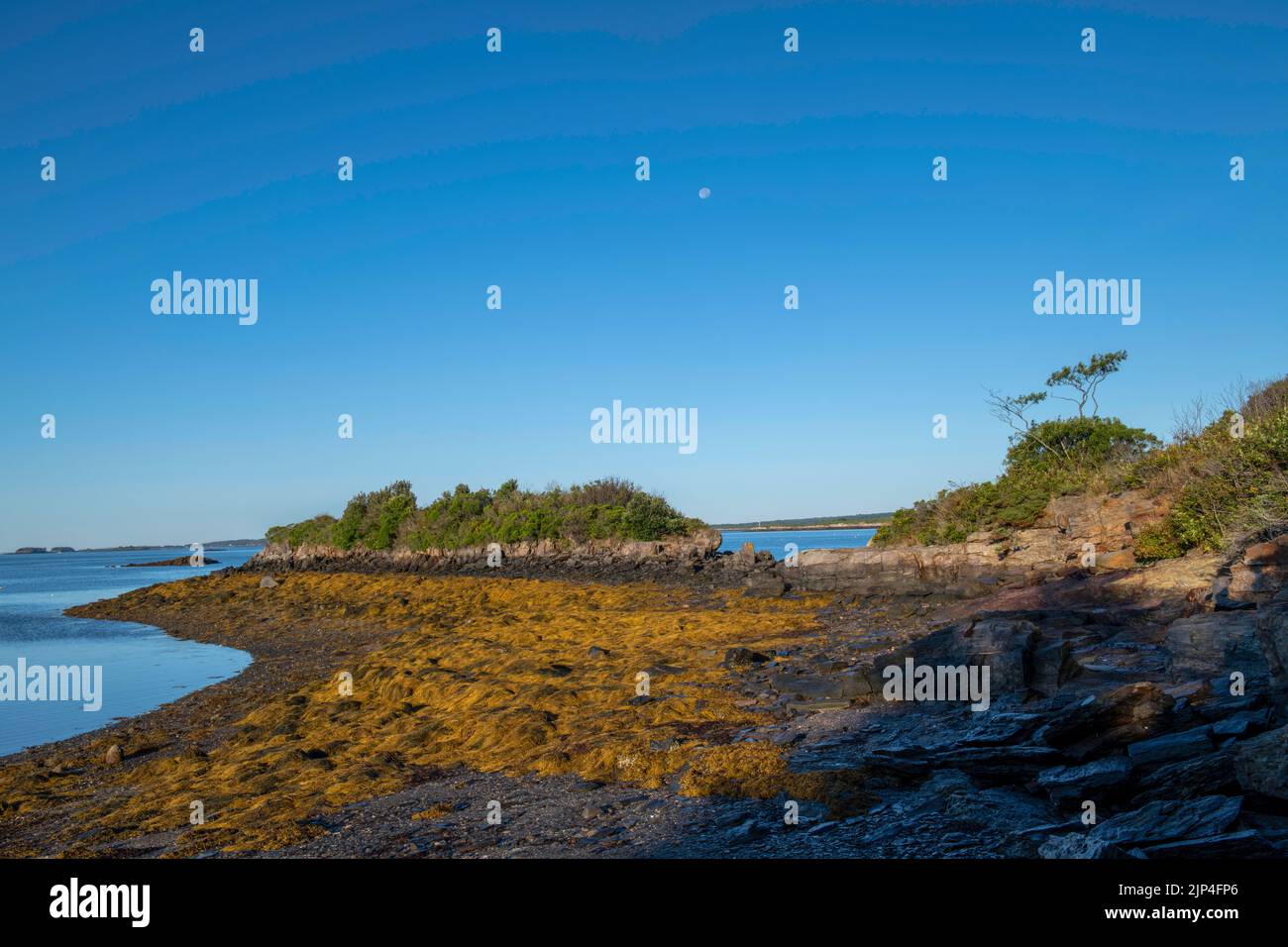14. August 2022. 6:50am Uhr. Mond über Barnes Island. Stockfoto