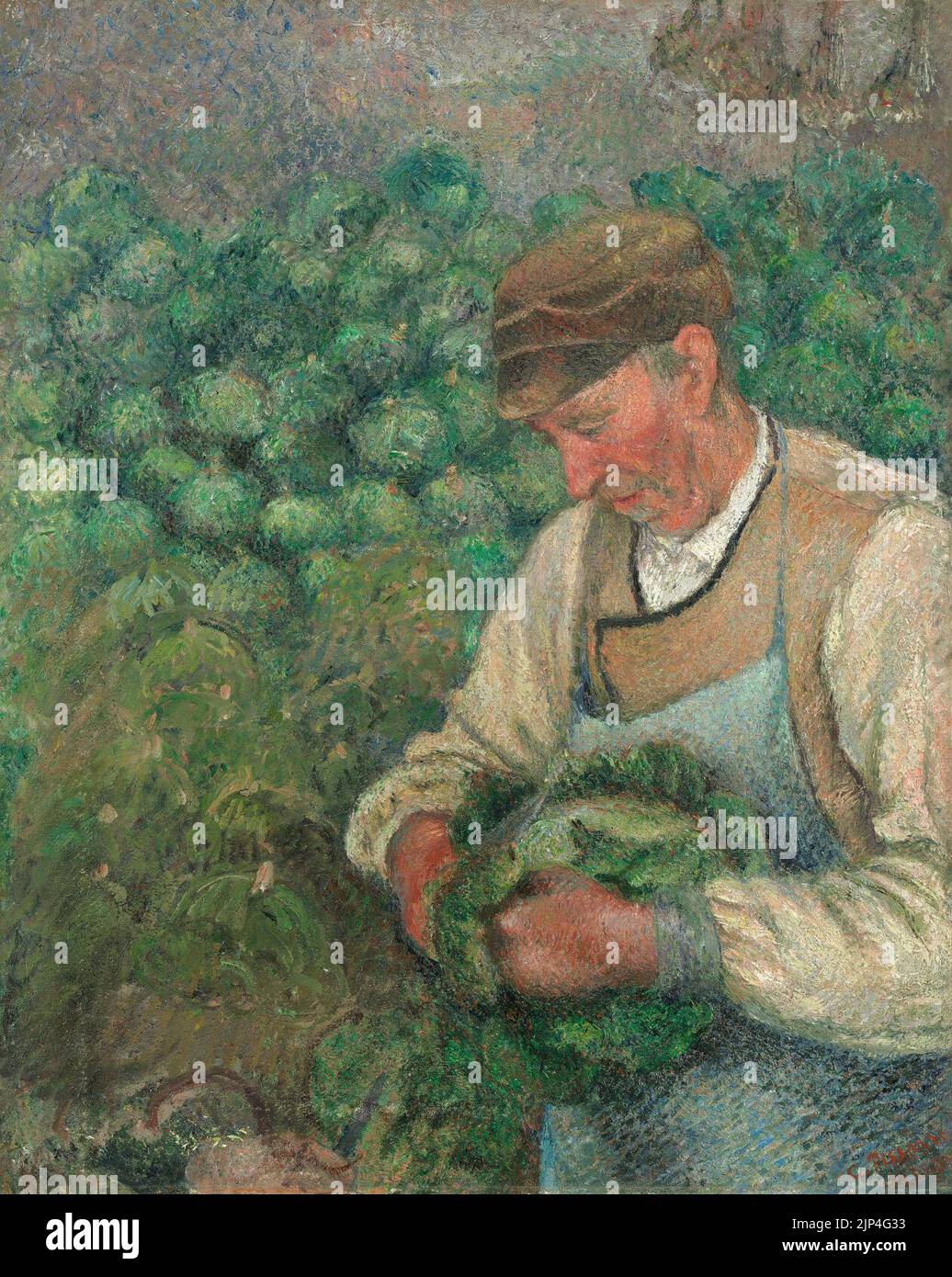 Alter bauer mit kohl Fotos und Bildmaterial in hoher Auflösung Alamy