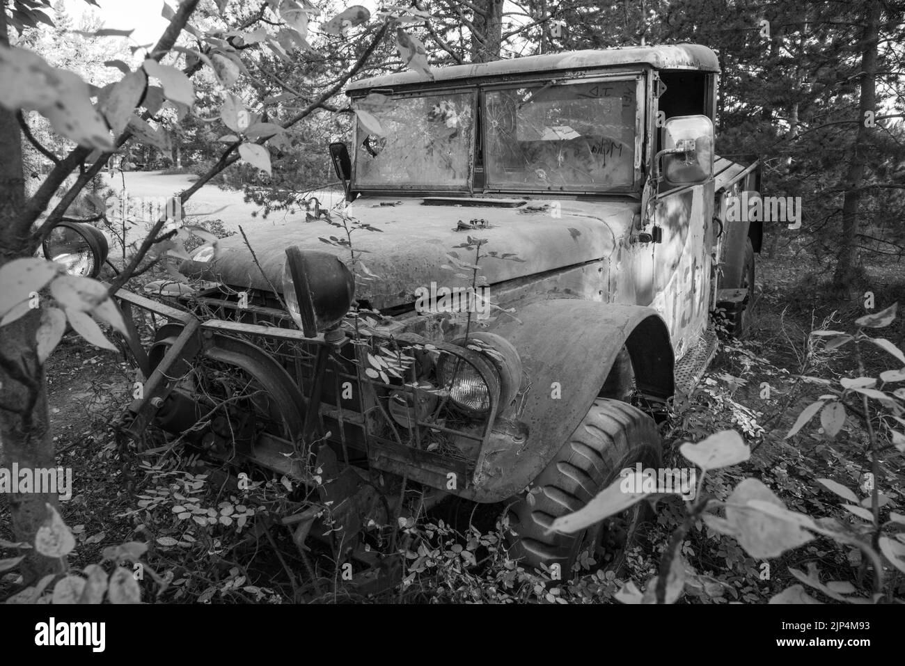 Ein s&w-Kunstfoto eines alten rostigen verlassenen LKW in den kanadischen Wäldern, wahrscheinlich aus den 40er Jahren, das während des Baus des Alaska Hwy verwendet wurde Stockfoto