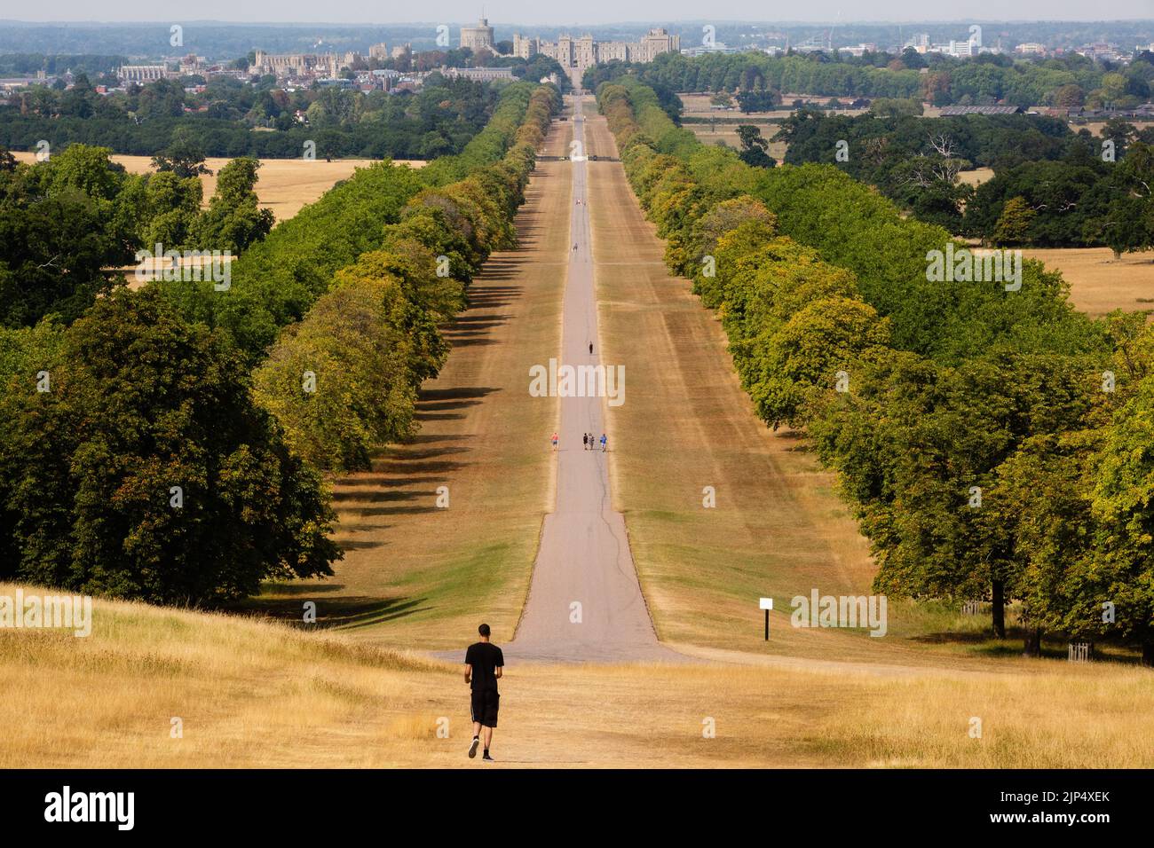 Windsor, Großbritannien. 15.. August 2022. Sonnengebleichtes Gras entlang des langen Spaziergangs ist vom Snow Hill aus mit Windsor Castle in der Ferne abgebildet. Fünf Monate unterdurchschnittlicher Niederschläge in Kombination mit extremer Hitze aufgrund des Klimawandels haben in Teilen von Süd- und Zentralengland zu rekordbrechenden Dürren geführt. Kredit: Mark Kerrison/Alamy Live Nachrichten Stockfoto