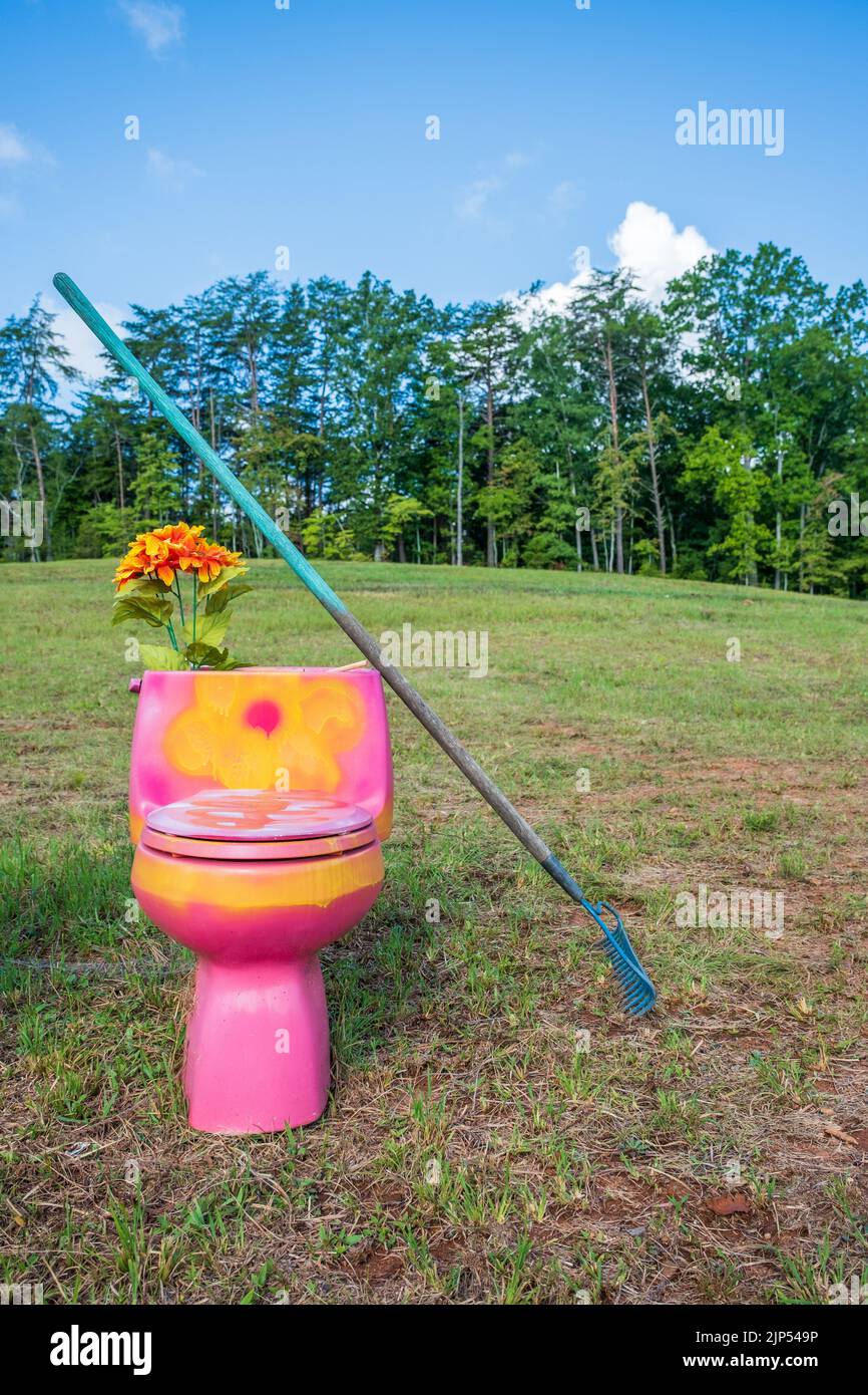 Die Toilette wurde rosa mit einer gelben Blume gestrichen und aus dem Tank kommen Blumen, während sich ein Rechen daran lehnt. Stockfoto