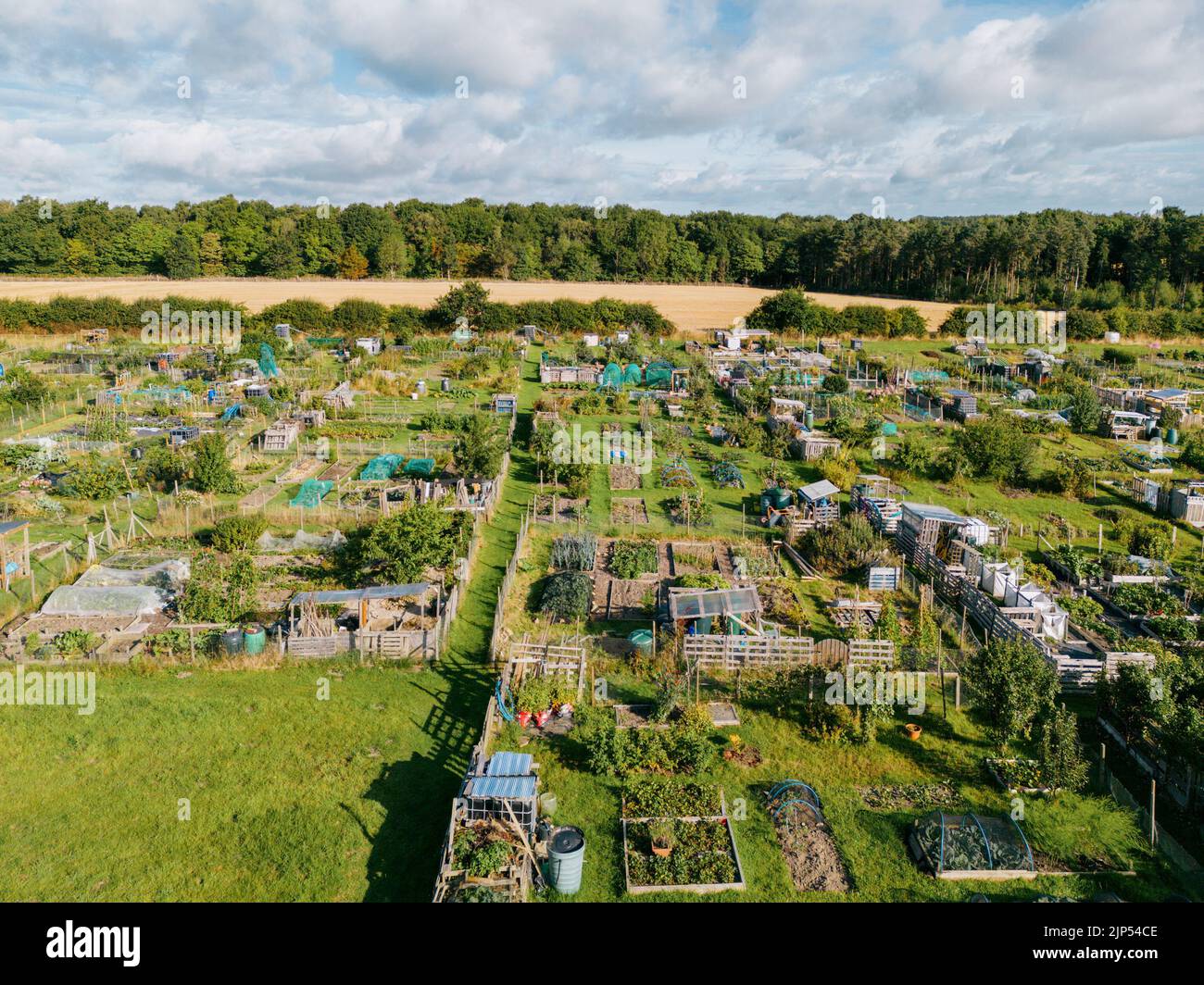 Luftaufnahme der Alloodley-Zuteilungen in North Leeds. Zuteilungen für Gemüsegärten und den Anbau von essbaren Pflanzen. Stockfoto