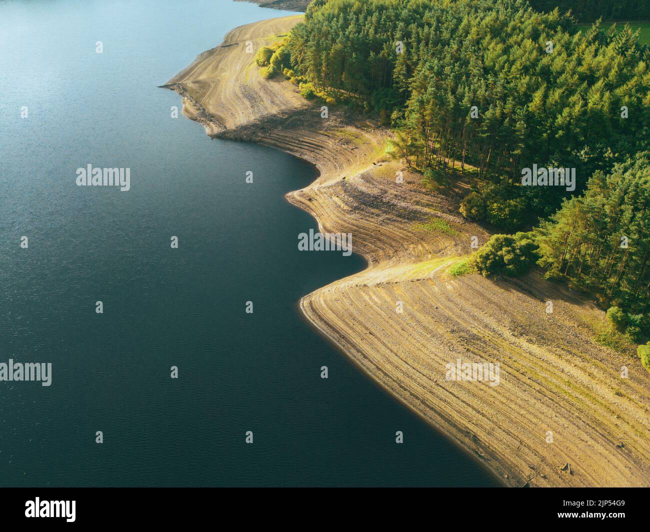 Luftaufnahme des Waldes, der den Thruscross Reservoir in North Yorkshire umgibt und Teil der Wasserserie von Wasserreservoirs in Yorkshire ist. Stockfoto