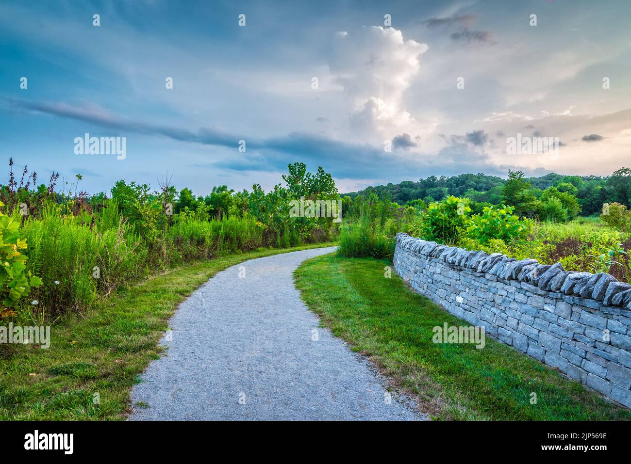 Sonnenuntergang - Beckley Creek Park Walking Path - Louisville, Kentucky Stockfoto