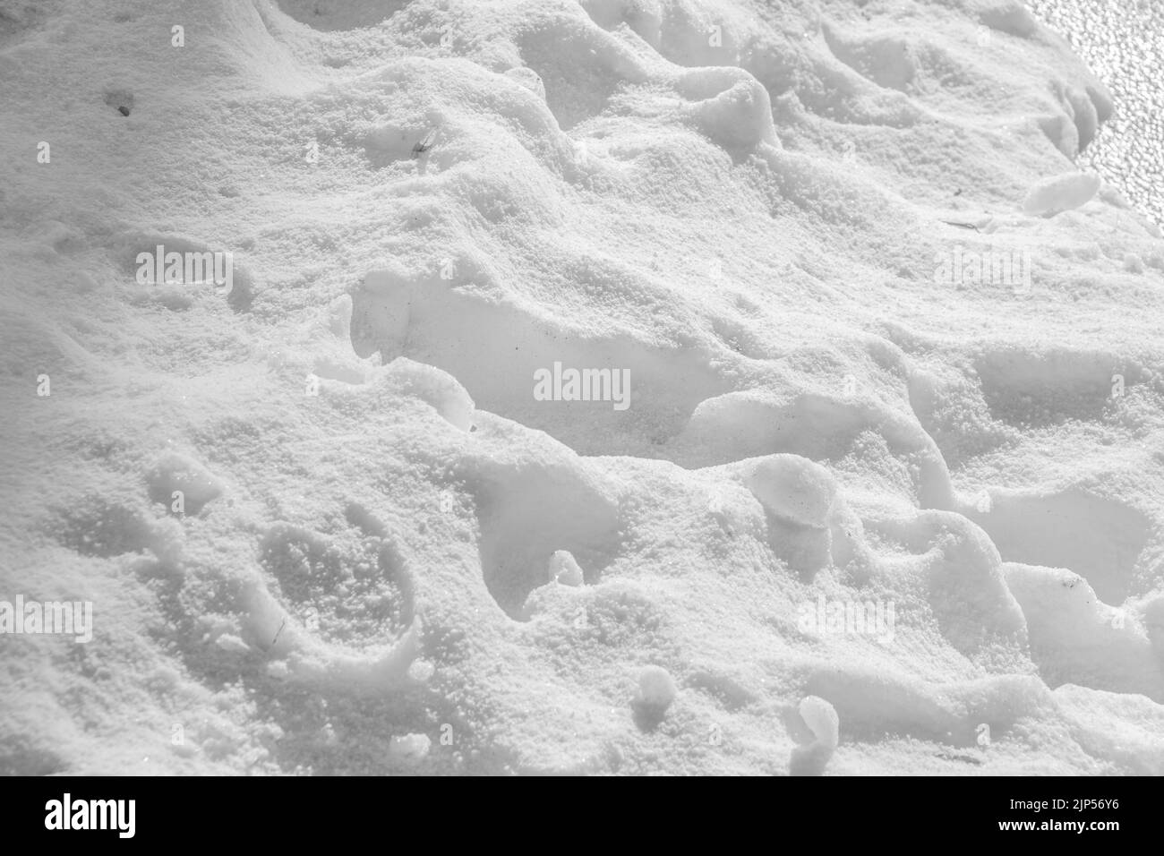 Weißer Hintergrund. Die Beschaffenheit der Schneeoberfläche. Frischer Schnee Hintergrund Stockfoto