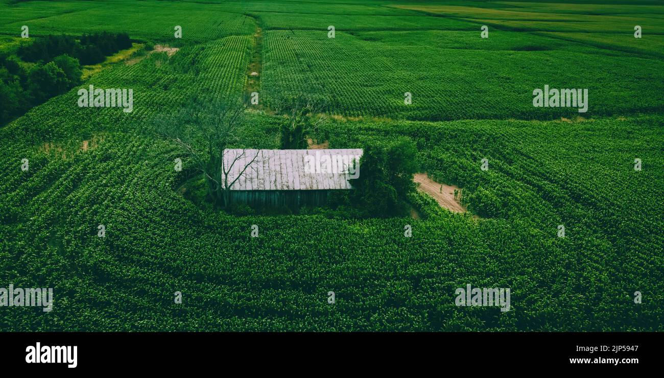 Eine wisconsin Farm im Sommer von oben Stockfoto