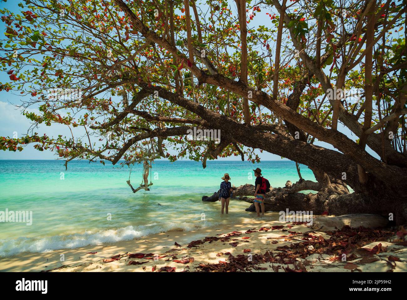 Strand auf der Insel Koh Kradan in der Andamanensee. Touristen Kreuzfahrt und Schwimmen Paradies Insel. Wundervolle Aussicht auf den tropischen Strand Stockfoto