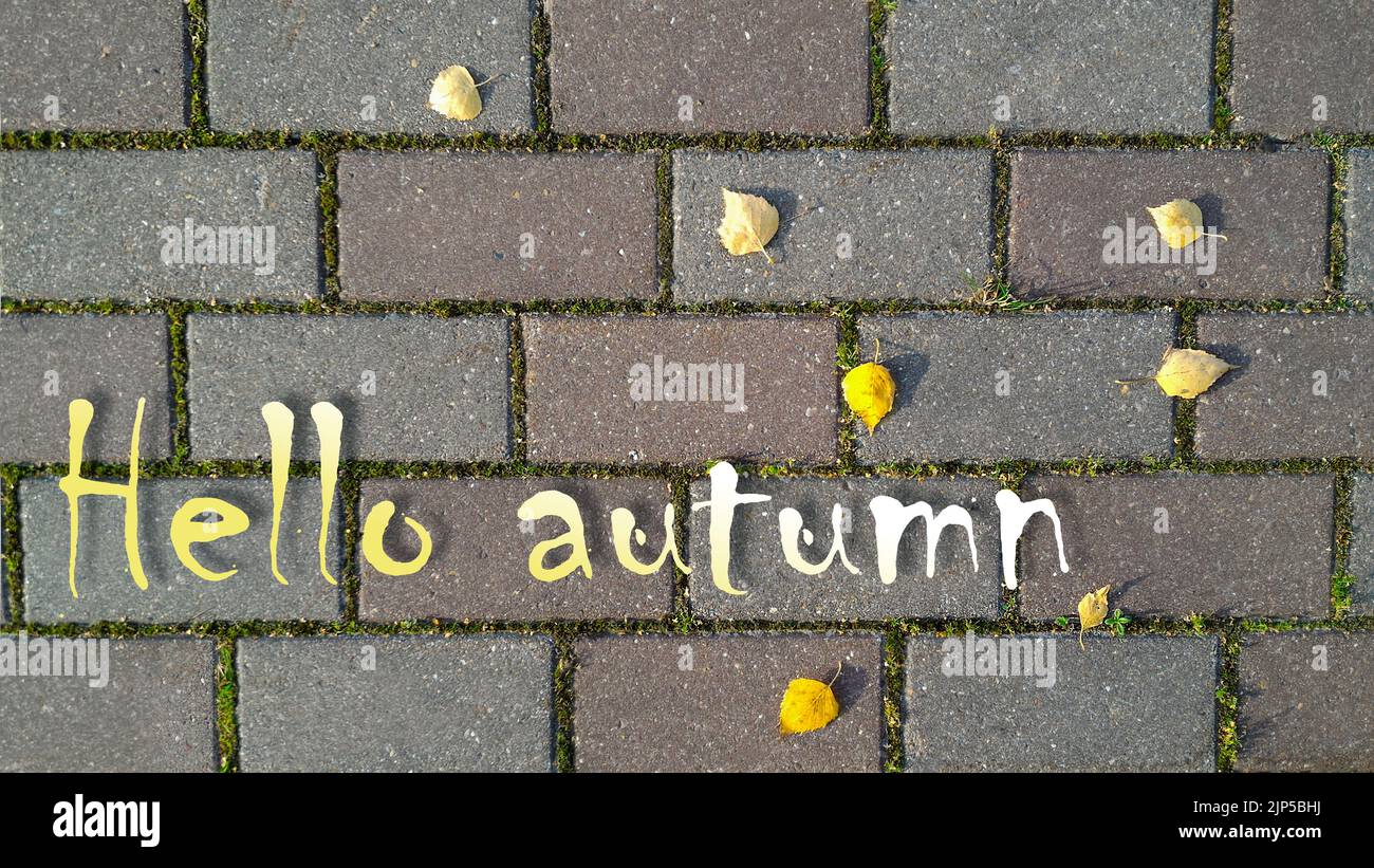Gelbe und weiße Inschrift Hello Autumn auf dem Hintergrund einer grauen Backsteinstraße mit gekeimtem Gras dazwischen und gelben Herbstblättern. Draufsicht, flach liegend Stockfoto