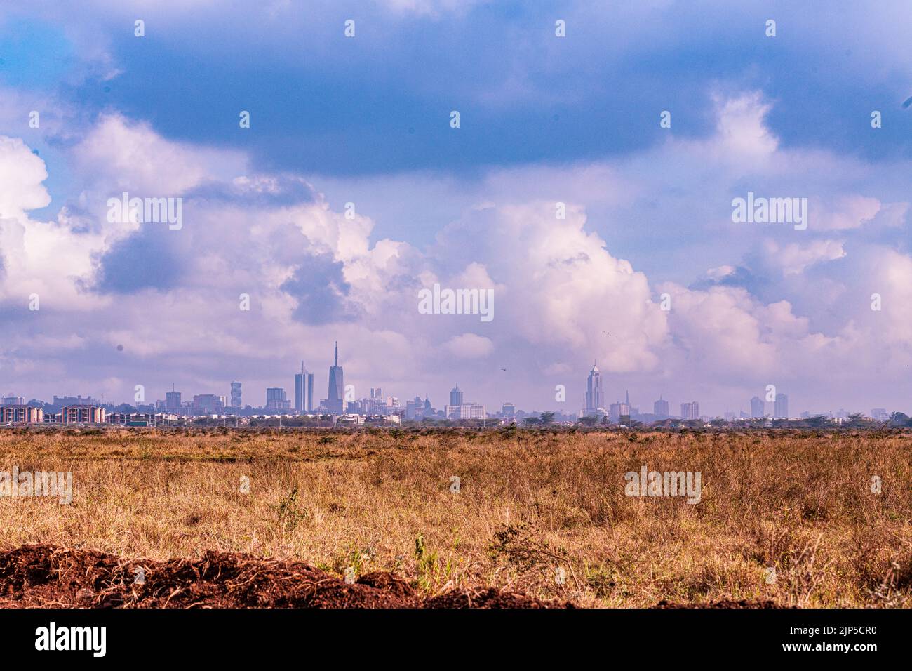 Nairobi City County Nationalpark Vögel Tiere Wildtiere Savanne Grasland Landschaften Panoramablick malerische Ausblicke magische Kenia Ostafrika Discovery Exp Stockfoto