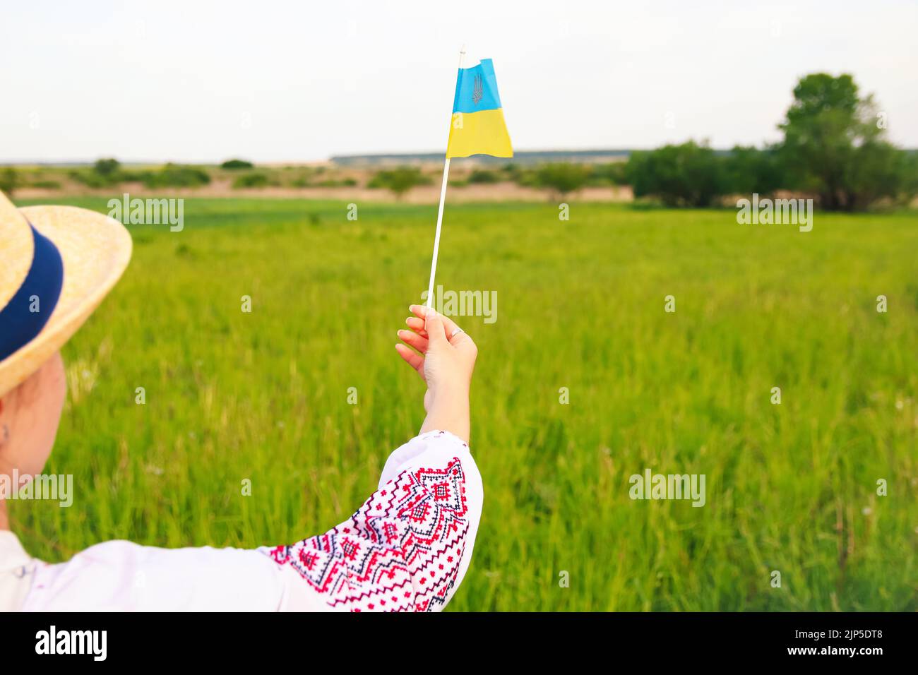 Defocus junge Frau in vyschywanka und Hut hält ukrainische Flagge von Weizen gebunden und Flagge auf der Wiese Natur Hintergrund. Flagge Ukraine. Freiheit. Zurück Stockfoto