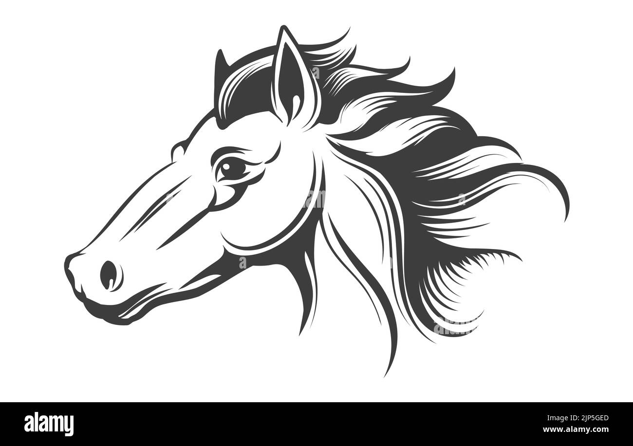 Schnelles Zeichnen von Pferden Stock Vektor