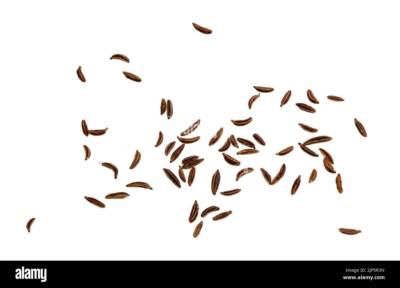 Kümmel-Samen sind die getrockneten Früchte der Kümmel-Pflanze, Carum carvi, eine zweijährige Pflanze aus der Familie der Apiaceae, die aus Westasien, Europa und Nor stammt Stockfoto