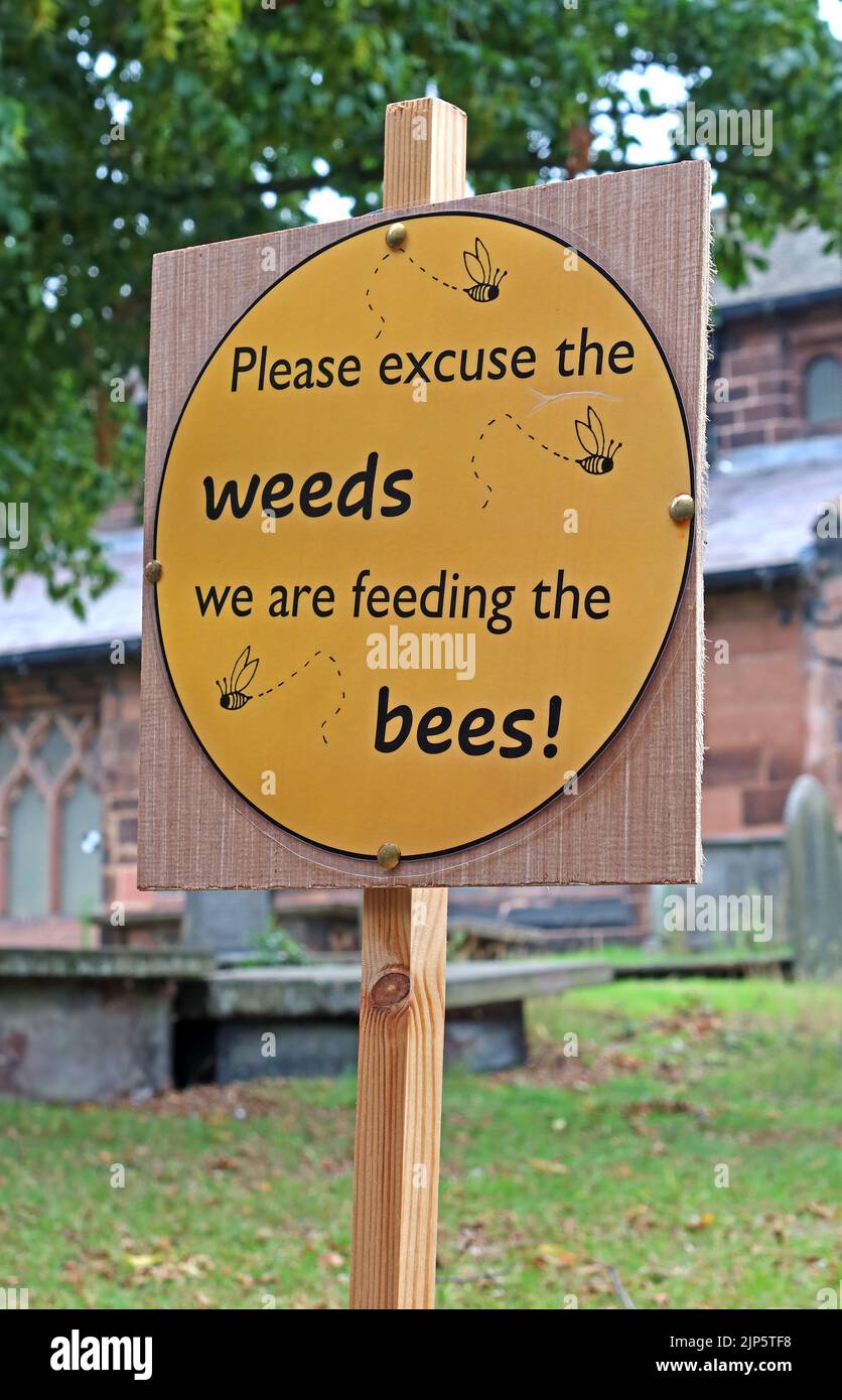 Bitte entschuldigen Sie das Unkraut, wir füttern die Bienen! Schild, Church Lane, Grappenhall, Cheshire, England, UK, WA4 Stockfoto