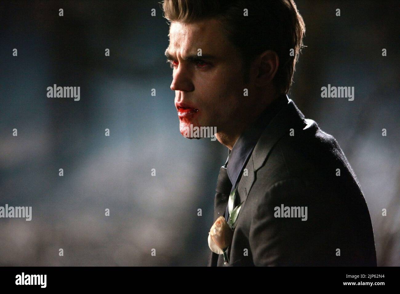 PAUL WESLEY, The Vampire Diaries: Saison 1, 2009 Stockfoto