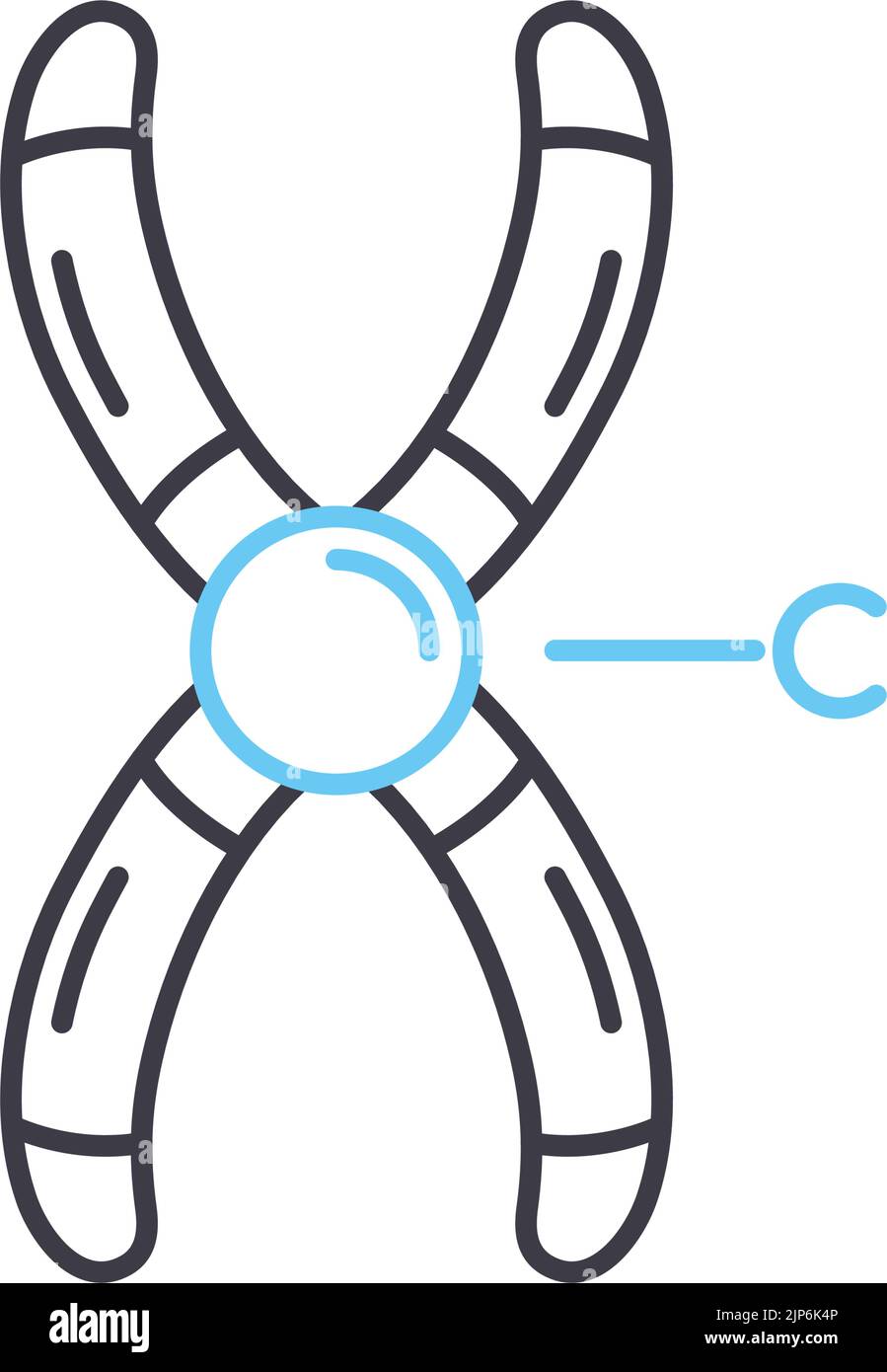 Chromosomenliniensymbol, Umrisssymbol, Vektordarstellung, Konzeptzeichen Stock Vektor