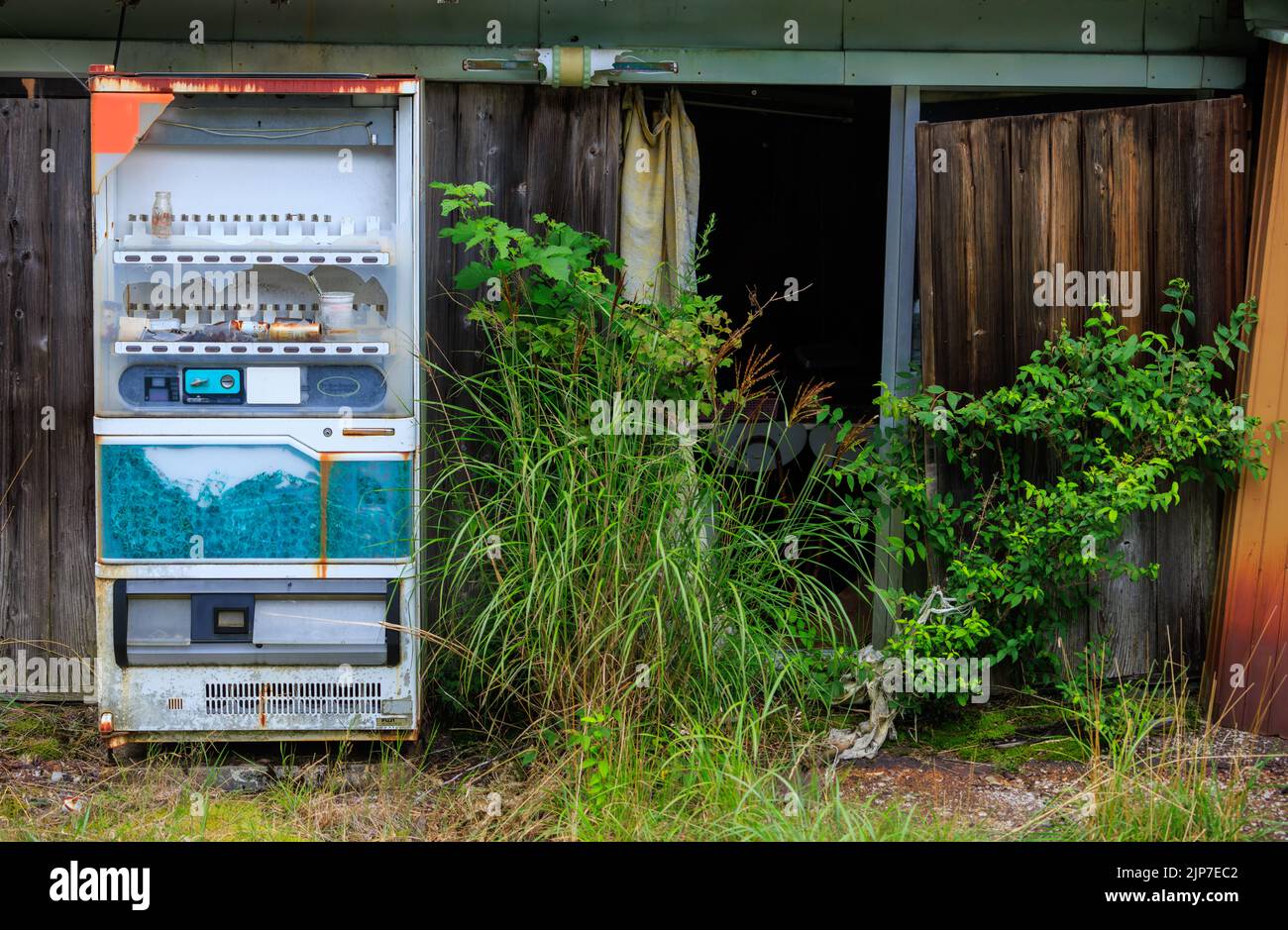 Alter kaputter Automaten vor einem verlassenen Laden mit überwucherten Unkräutern Stockfoto