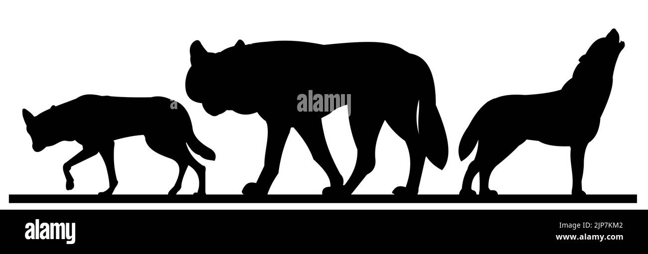 Kleines Rudel Wölfe. Silhouettenbild. Wildes Tier in der Natur. Predator unter natürlichen Bedingungen. Isoliert auf weißem Hintergrund. Vektor Stock Vektor
