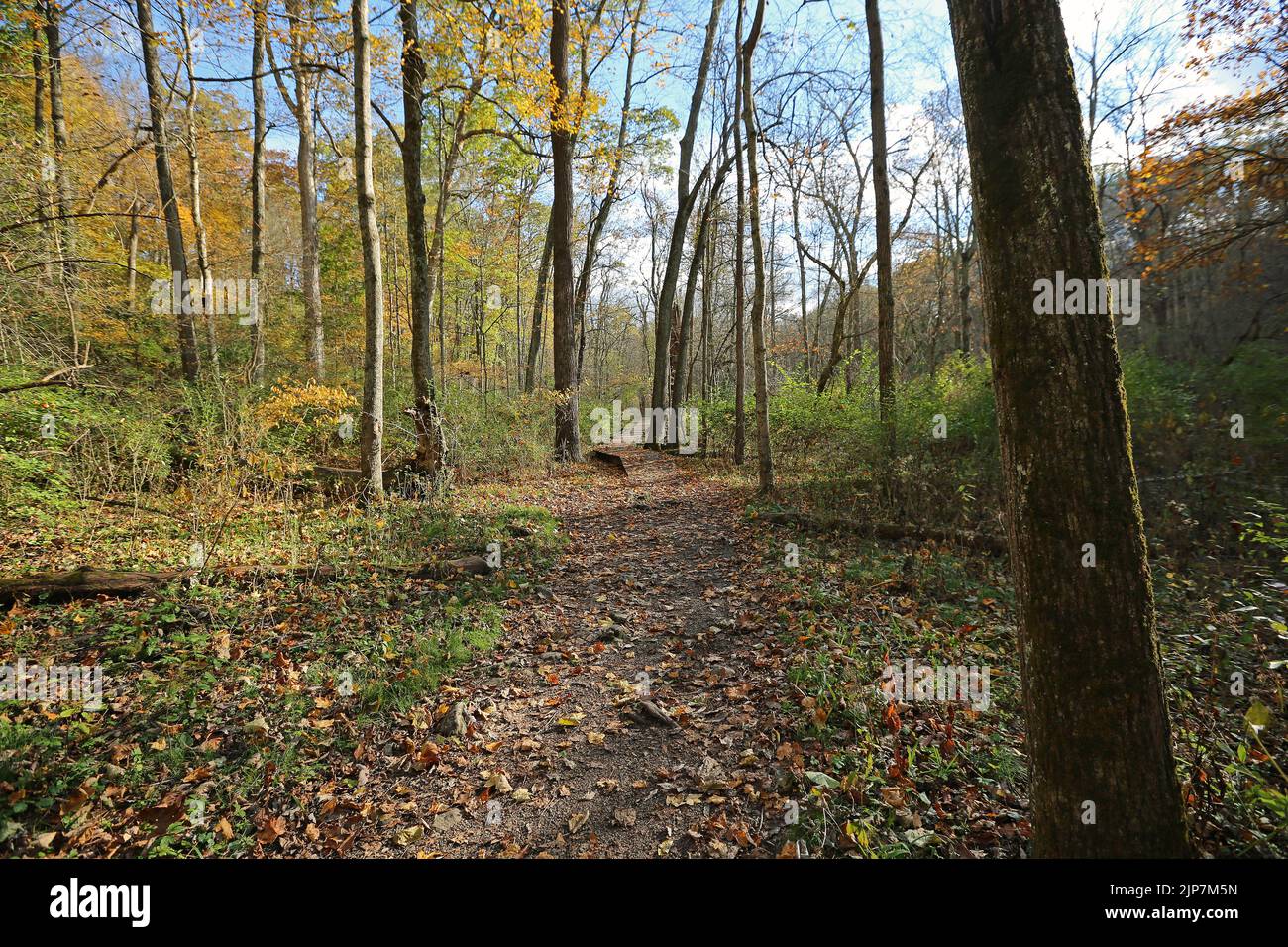 Walking Thtough Glen Helen Nature Preserve, Ohio Stockfoto