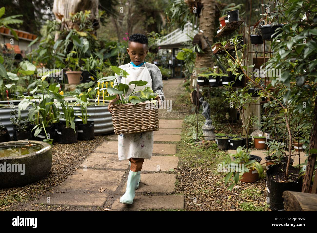 afroamerikanischer Junge, der Pflanzentopf im Garten hält Stockfoto