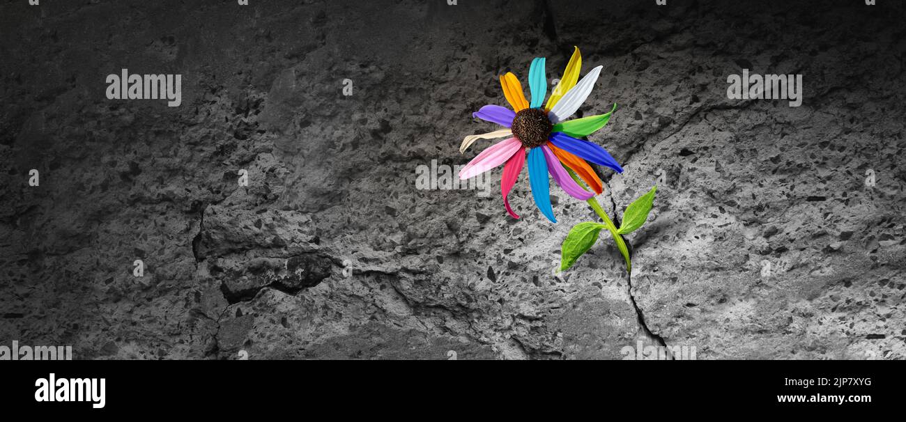 Power of Diversity-Konzept als Blume mit verschiedenen Farben, die aus einem Zementriss hervorgehen und Resilienz darstellen, der Herausforderungen als Metapher gegenübersteht. Stockfoto