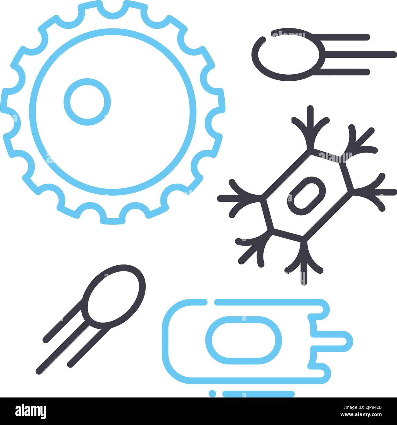 Zellenbiologieliniensymbol, Umrisssymbol, Vektordarstellung, Konzeptzeichen Stock Vektor