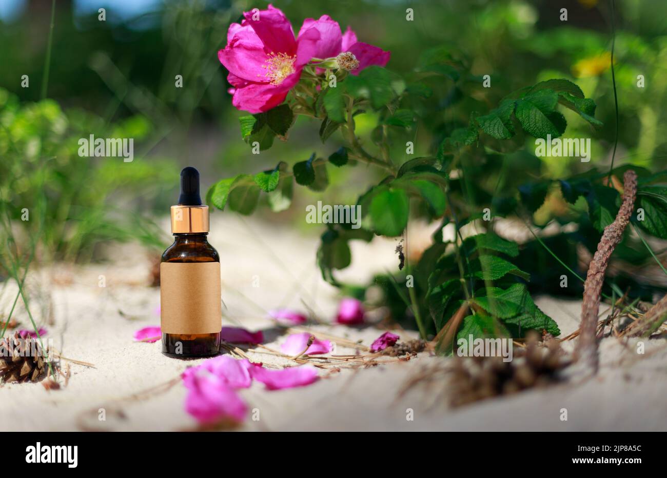 Mockup, bachblüten Heilmittel . Alternative oder komplementäre Behandlung. Leeres Etikett. Flasche mit Tropf und Goldkappe. Natürliche Zusammensetzung Stockfoto