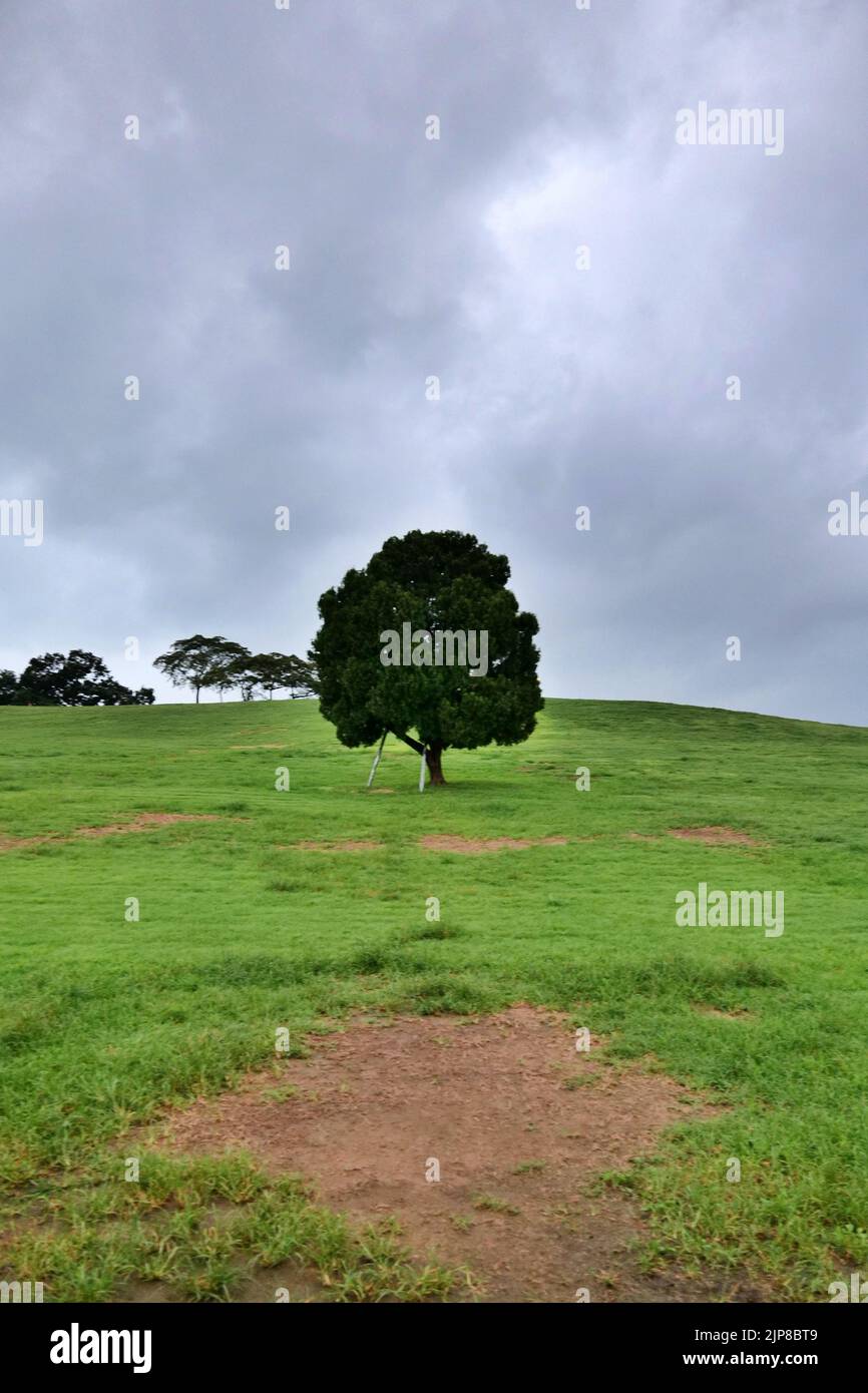 Angenehme grüne Landschaft voller Grün Stockfoto