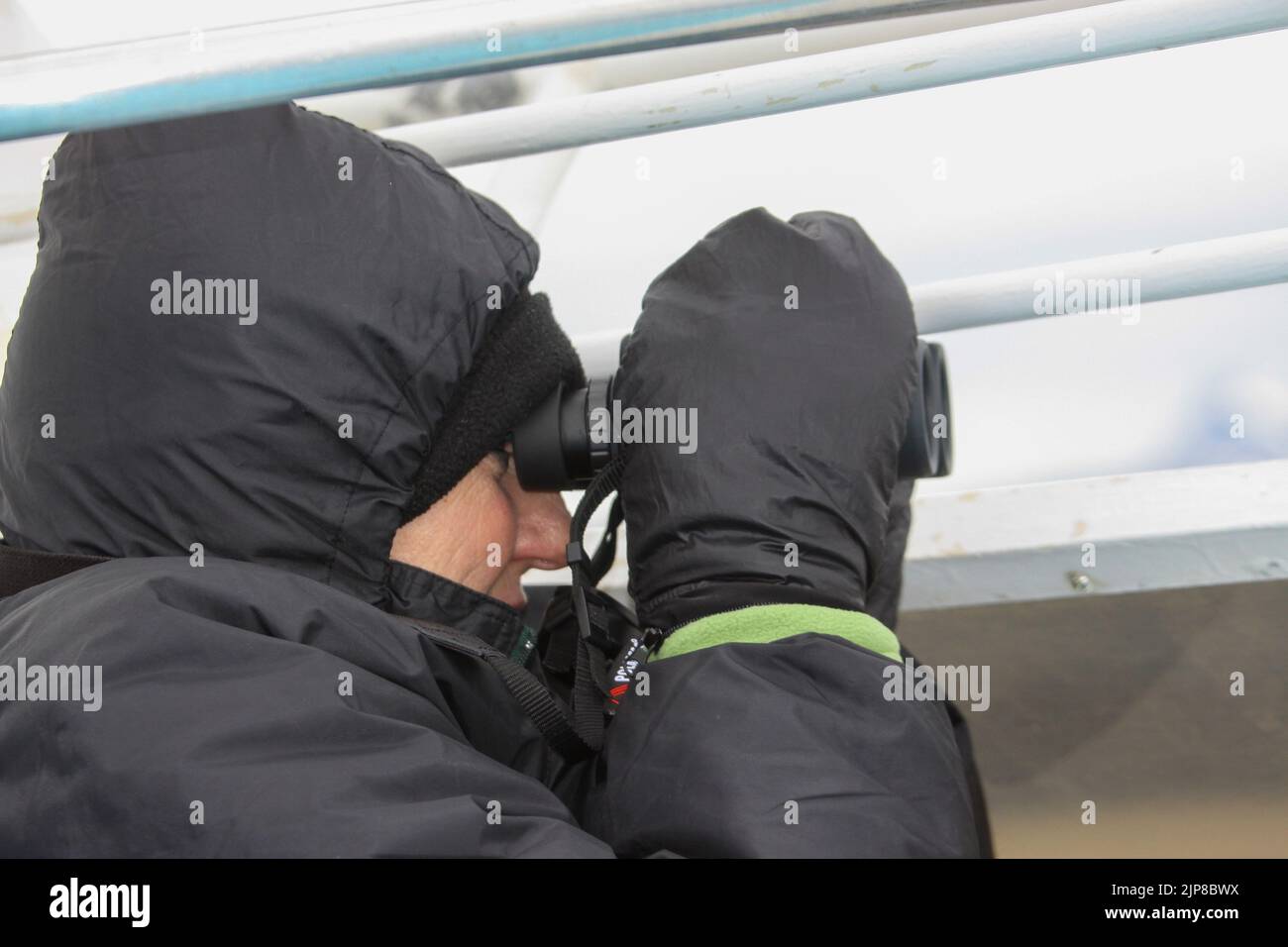 Weibliche Touristin auf einer Kreuzfahrt in Alaska Stockfoto